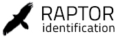 Raptor Identification - The complete raptors guide